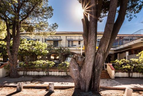 Hotel Oasis Argeles-sur-Mer